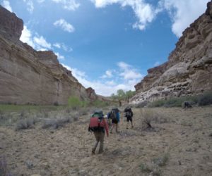 Experience the outdoors in November