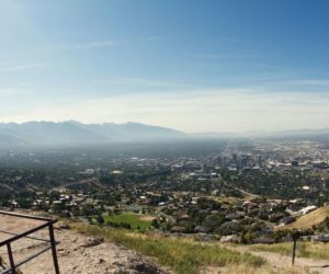 Four locally loved hikes
