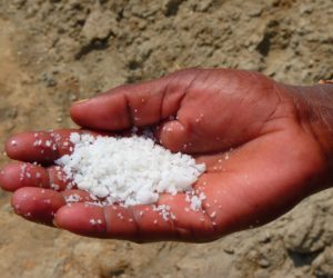 What is it and why does it want to kill me? Sodium