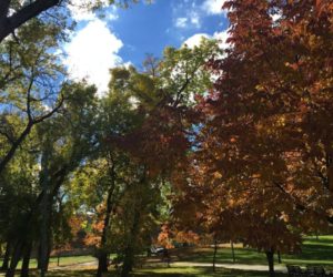 A walk in the park