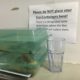 Missing: Eco-containers
