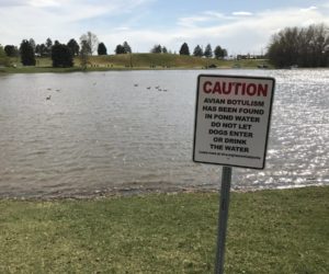 Sugar House Park plans to go forward with dredging project after animals have become sick and died