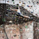 Westminster student battles scoliosis with rock climbing