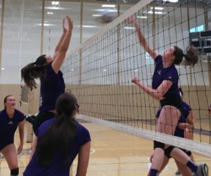 Official NCAA Division II membership brings new opportunities for Westminster athletics
