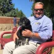 Do’s and don’ts: dog policies at Westminster