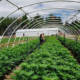 Prop. 2 divides Utah voters, Westminster community