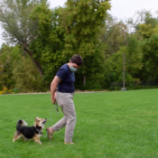 Lucy Wilks shares dog training tips and experiences